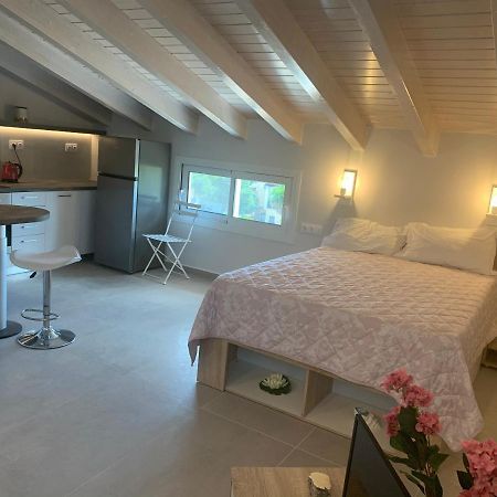 Terpsichore boutique Bright new Sofita studios&appartment Dassia  Extérieur photo