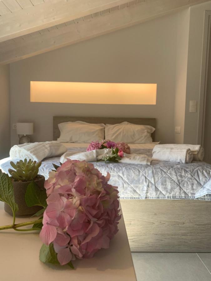 Terpsichore boutique Bright new Sofita studios&appartment Dassia  Extérieur photo