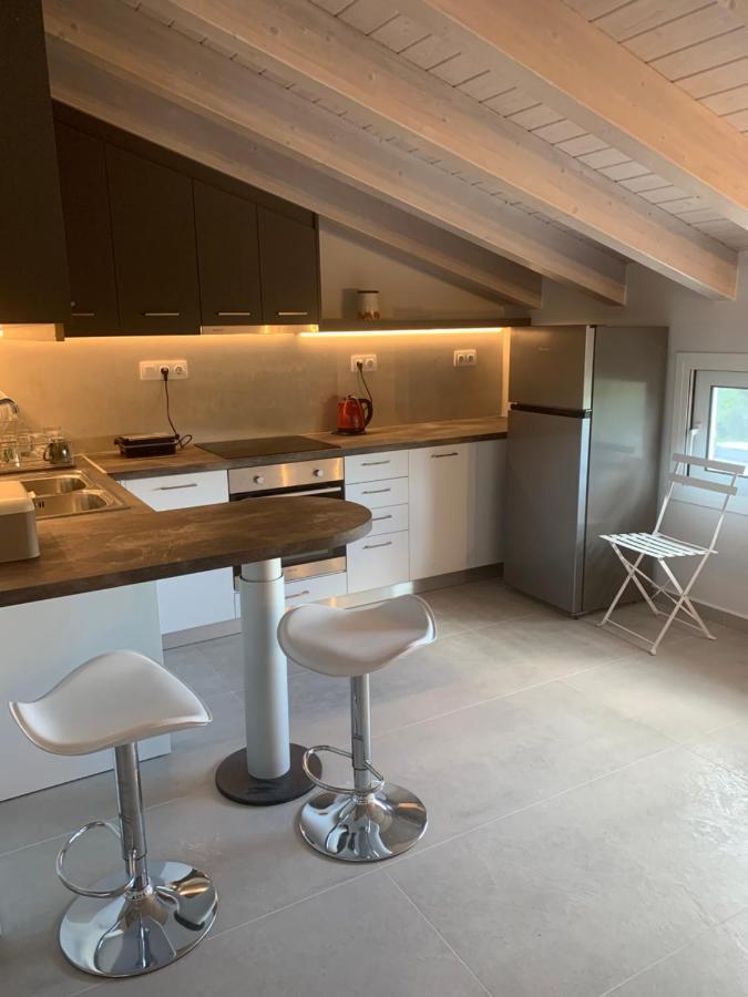 Terpsichore boutique Bright new Sofita studios&appartment Dassia  Extérieur photo