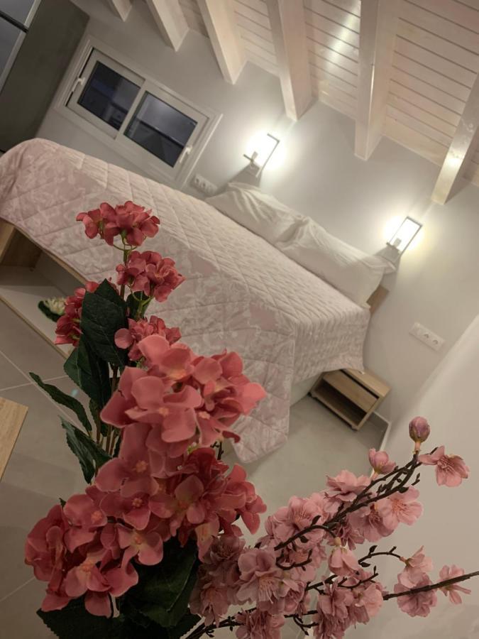 Terpsichore boutique Bright new Sofita studios&appartment Dassia  Extérieur photo