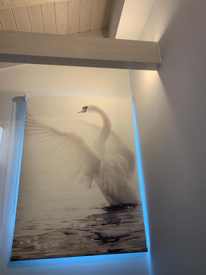Terpsichore boutique Bright new Sofita studios&appartment Dassia  Extérieur photo